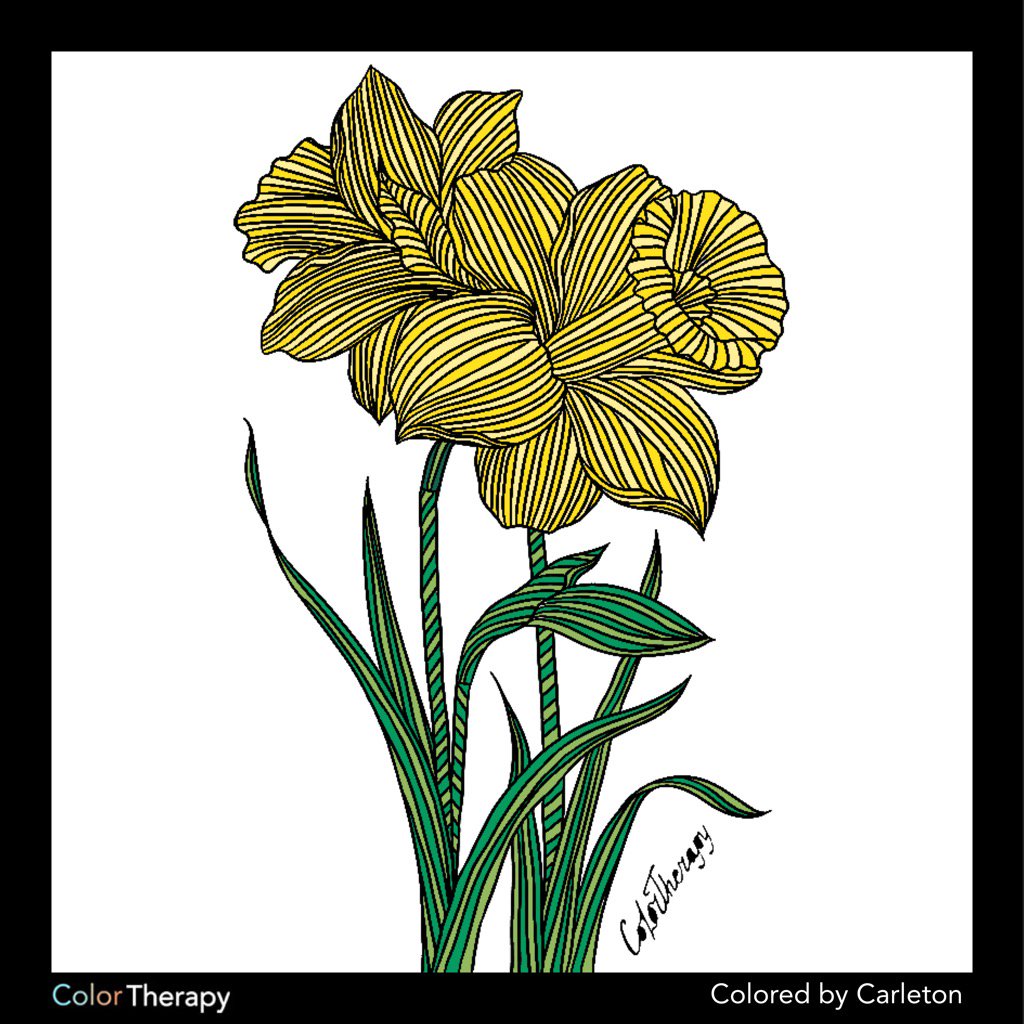 DunkorJunk's tweet photo. I coloured this myself using Color Therapy App. #RelaxUnwindUnplug https://t.co/VdQyVsL0Lx