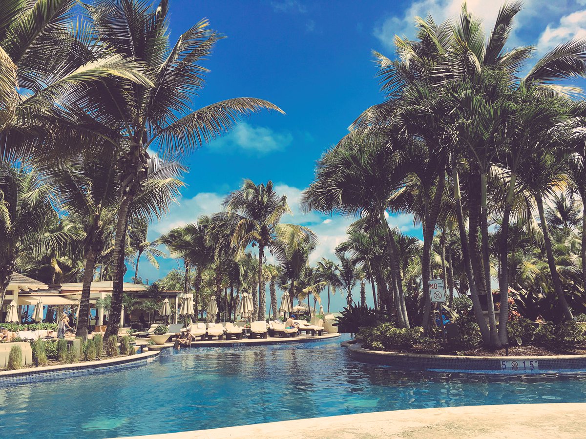 rquiroga82's tweet photo. Living and loving in paradise! 🇵🇷
#StRegis #PuertoRico https://t.co/qaT6ETTjWH