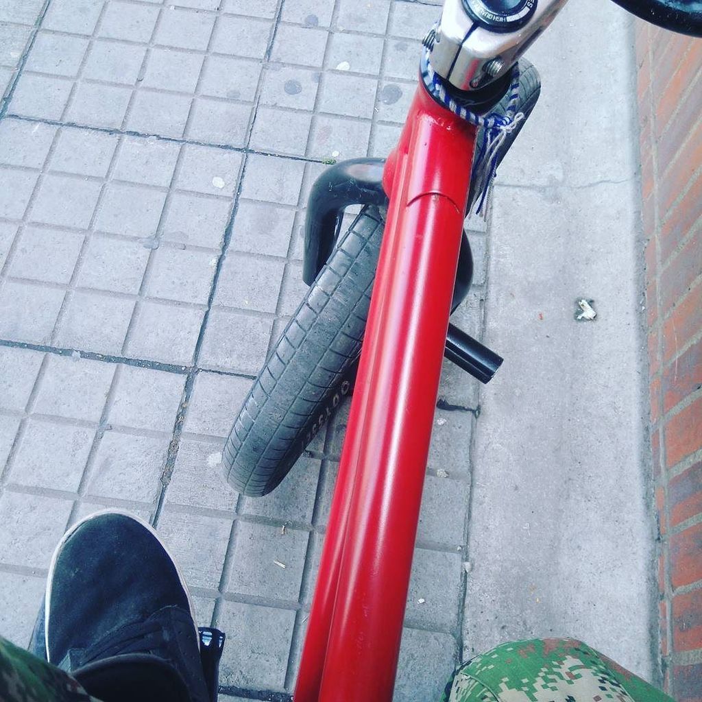 Daviid_Penha's tweet photo. Nuevamente Con Ella por Las Calles De #bogota #ClanBiker #optimus #odyssey #saltplus #eclat #bmx #pin #tw https://t.co/johAnYsM4X
