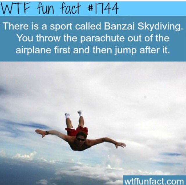 RFFDaily's tweet image. I would die 😱😅