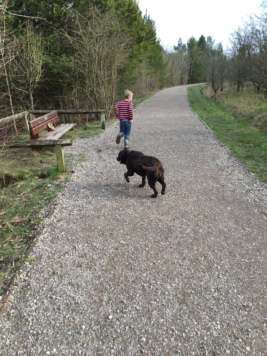 Ruby_Choc_lab tweet picture
