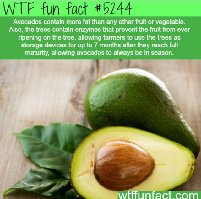 RFFDaily's tweet image. Who knew... 🌿