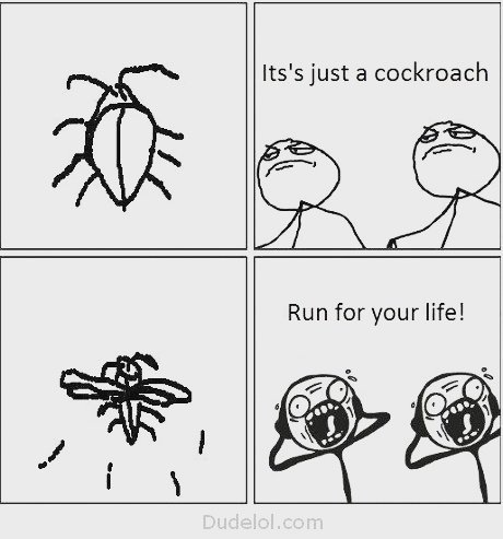BugOutPC's tweet image. Everyone is a hero...until it starts to fly! #BugOutPestControl #Cockroaches #PestControl #Durban #Ballito