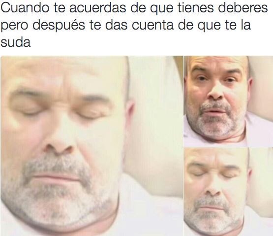 StuviaES's tweet photo. https://t.co/kjVGS21jiW