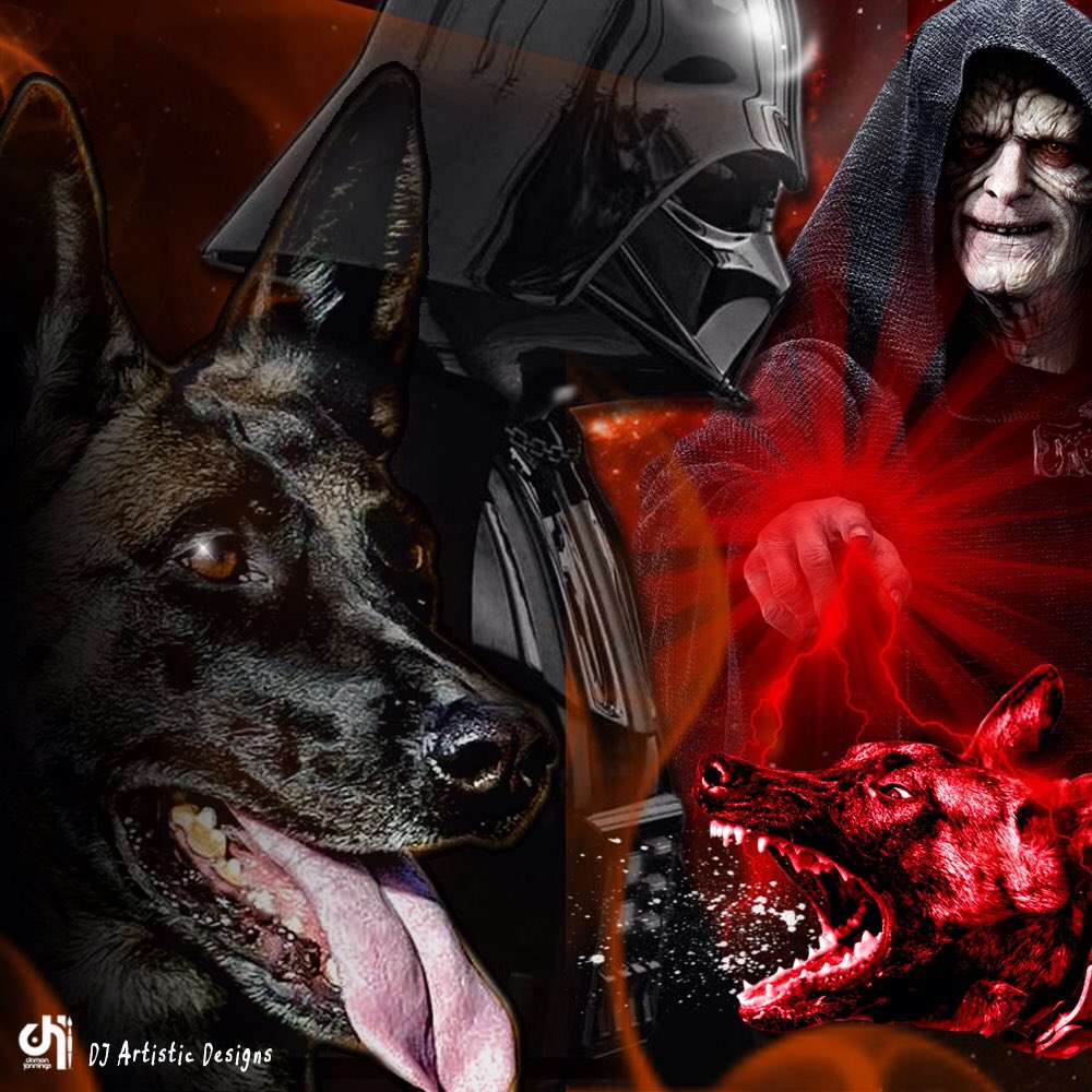 djartdesign1's tweet photo. #graphic #graphicdesign #art #artwork #StarWars #force #ringsport #mondio #mondioring #dogs #dog @djartdesign1 https://t.co/aCJgt4pWNq