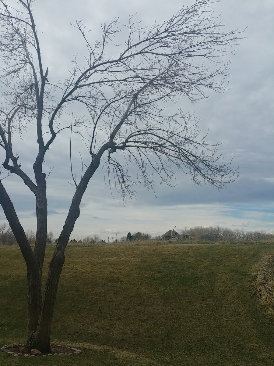 ButtonAnastasia's tweet photo. Turning into a beautiful day for a hike! Who likes #hiking !? #havefun #selfcare #millennial #freedom #putside https://t.co/vz9ZrvEzMj