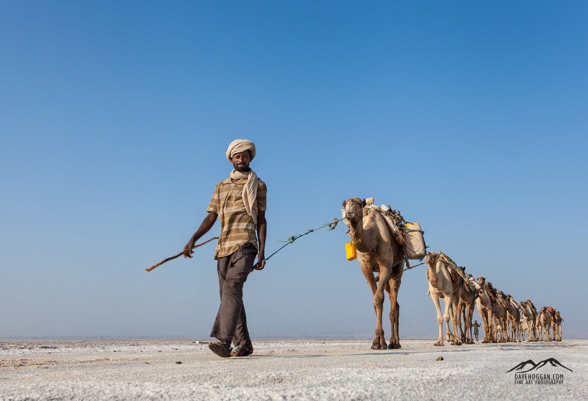 VeiledWorld's tweet photo. Salt: Ethiopia's White Gold

#Ethiopia #DisappearingWorld #photography

https://t.co/wVNbAiLSY1 https://t.co/kj71Ox91z6