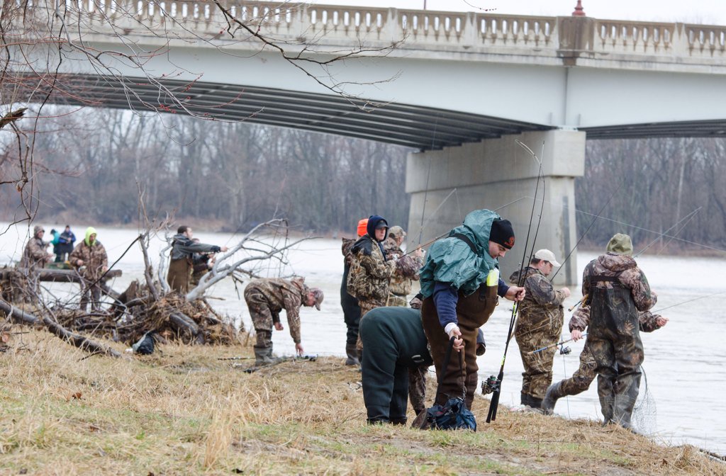 Fun day watching the walleye run on the Maumee #walleye #maumeeriver <a href="/Maumee_river/">Maumee_River_Report</a> <a href="/MyMetroparks/">Metroparks Toledo</a> #sidecutmetropark