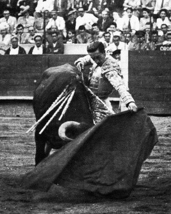 torosmar's tweet photo. "La verdad del toreo es tener un misterio que decir... y decirlo" #13MValencia #13mplus #manolete #sialostoros https://t.co/XA6iCRd4LS