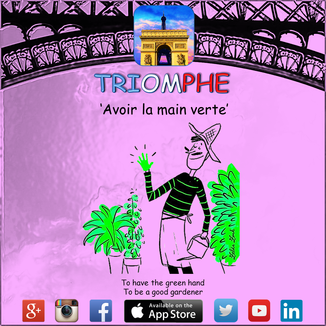 MyTriompheApp's tweet photo. #Learn #French #Language with your #app #TRIOMPHE on #ipad #iphone for #GCSE #MFL #FLE #DELF #ALevel #IB #revision https://t.co/dMtYskQLmx
