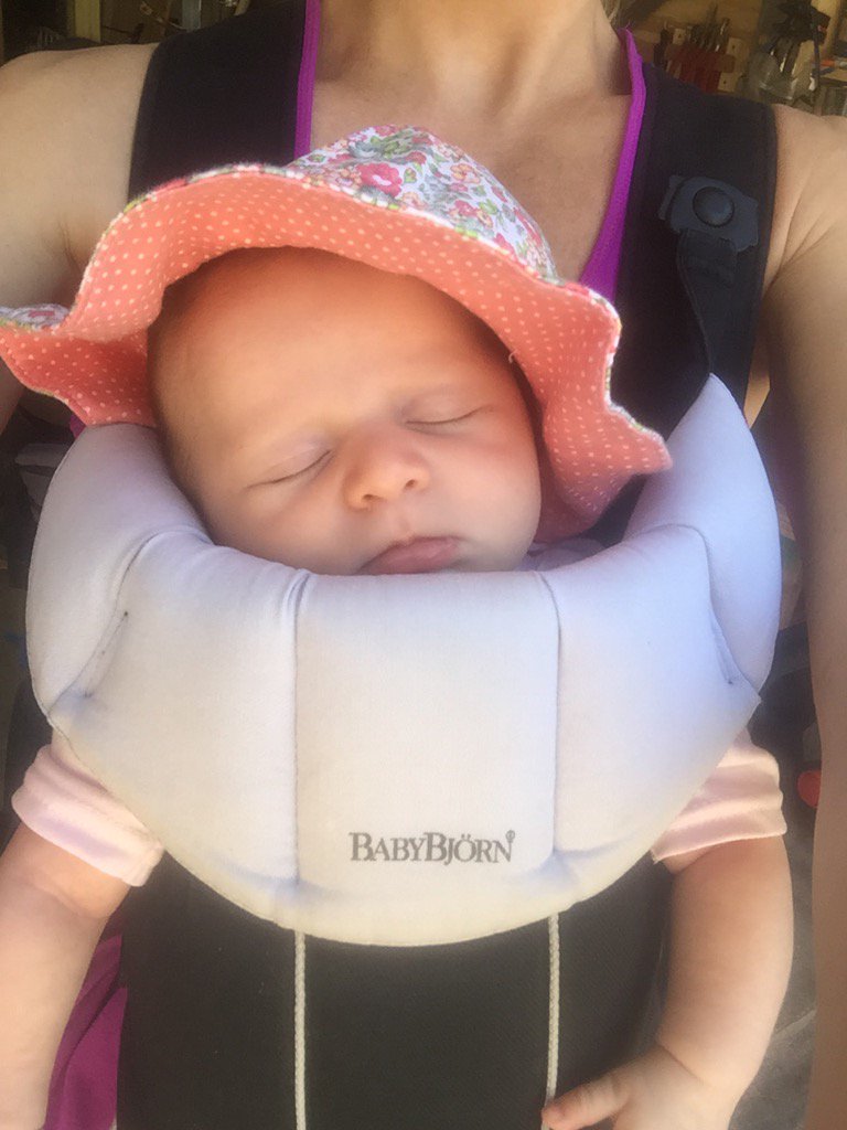 amazon babybjorn hamaca