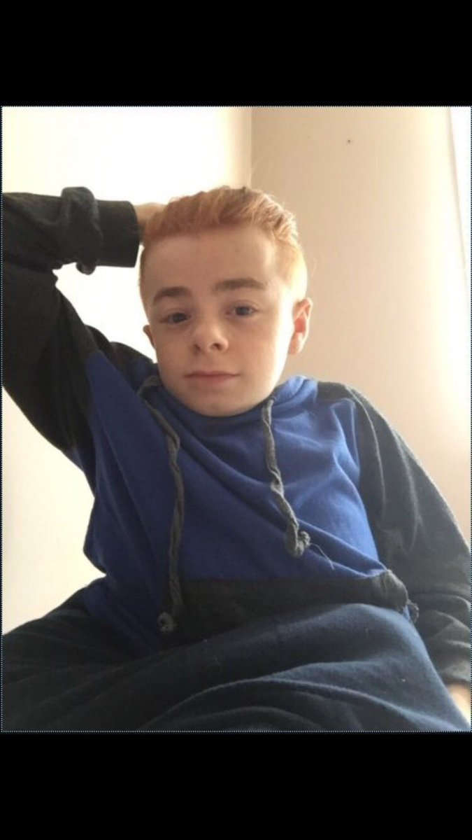 FLAV | Brian tweet media