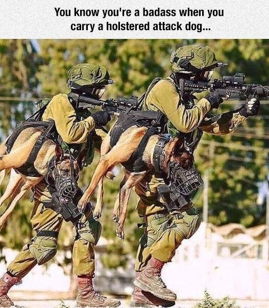 Jetgranger's tweet image. 