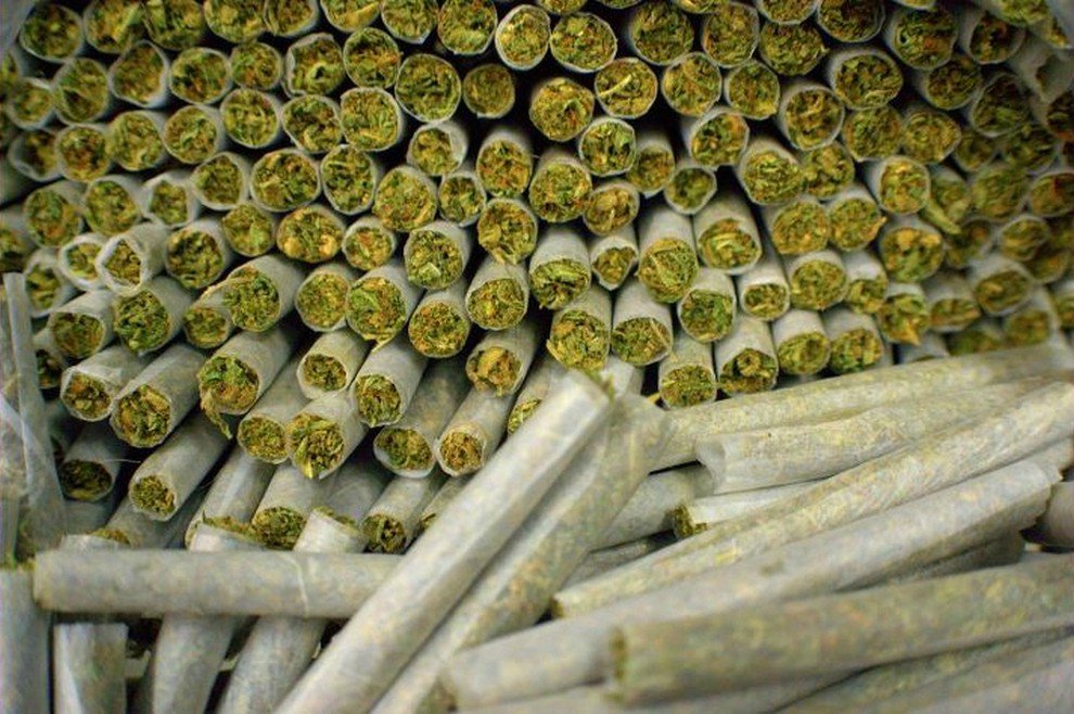 DonCanutillo's tweet photo. Como os metais conmigo llamare a toda mi Banda. Capullos!!!
@DonCanutillo #weed #weederman #marihuana #cbd  #thc https://t.co/jfb99I15PF