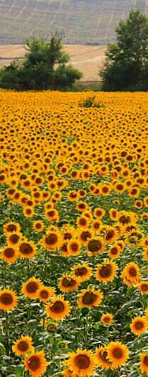 denomyar123's tweet photo. I thought you'd like this Pin on Pinterest... https://t.co/XMnHc55bg0 for everyone https://t.co/hAi0g1fg2e