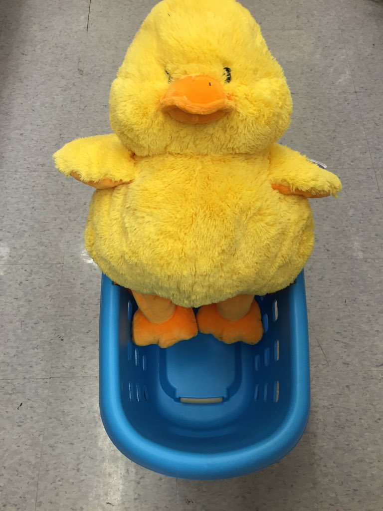 fadedaze's tweet photo. @7FAM This cute chicken reminds me of 7FAM's #FOOLPROOFYELLOW #contest https://t.co/IljwZop5Ag
