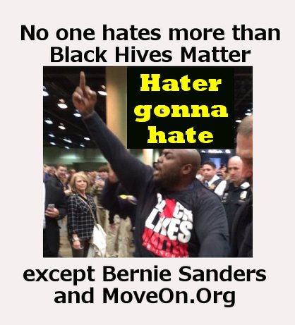 themillieneal's tweet photo. #realBernieSanders is a communist hater who really, truly does want to destroy American #Liberty #BlackLivesMatter https://t.co/WISwdCdwKj
