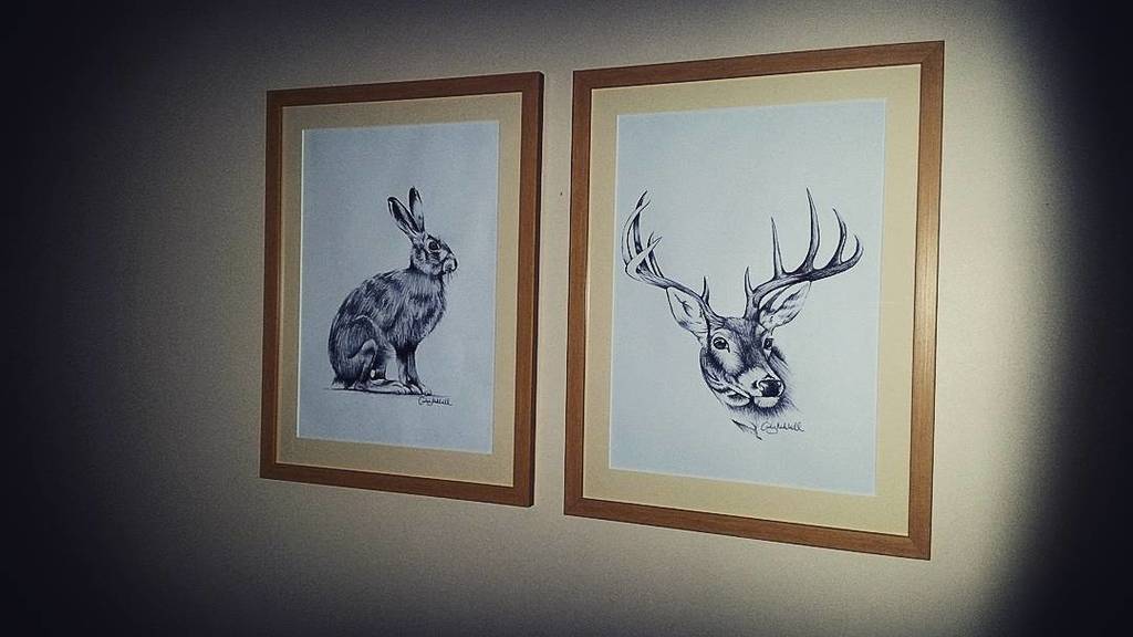 bikinibodyrules's tweet photo. My pen drawings proudly framed in my dad's new county home 🏡 #stag #hare #sketches #pensketches #drawings #blackwor… https://t.co/rytpWHY9Rs