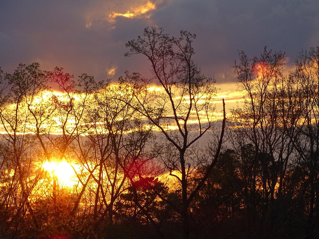 dwestcanvas's tweet photo. @JimCantore beautiful Georgia sunset at west haven https://t.co/azyExfD9Qo