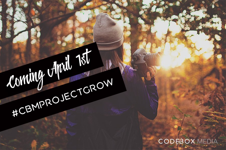 codeboxmedia's tweet image. 