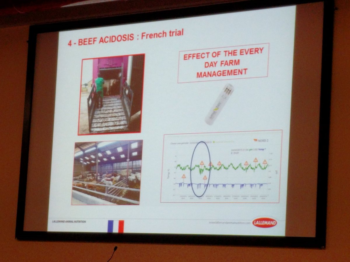 sstein123's tweet image. Some impressions from #Lallemand 's Int Beef Exchange in Verona/Italy. #rumenhealth #beef #animalhealth #smaxtec