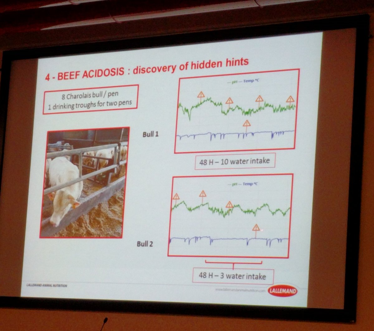 sstein123's tweet image. Some impressions from #Lallemand 's Int Beef Exchange in Verona/Italy. #rumenhealth #beef #animalhealth #smaxtec