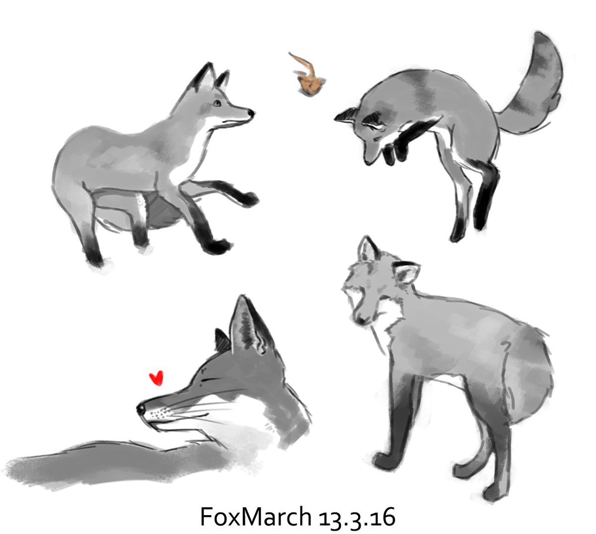 Hikasawr's tweet photo. #FoxMarch 13.3.16 https://t.co/pIeP1SqqD3