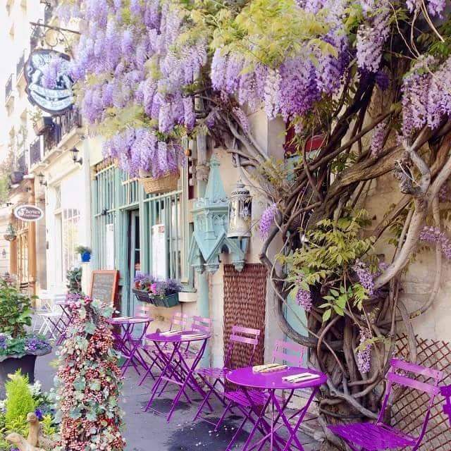 kentkristensen1's tweet image. PARIS
SPRING
IS IN THE AIR
PARIS YOU ARE LOVE
PARIS WE NEED YOU 
BRING IT ON THE CAFES 
THE FLIRTS #KENTKRISTENSEN