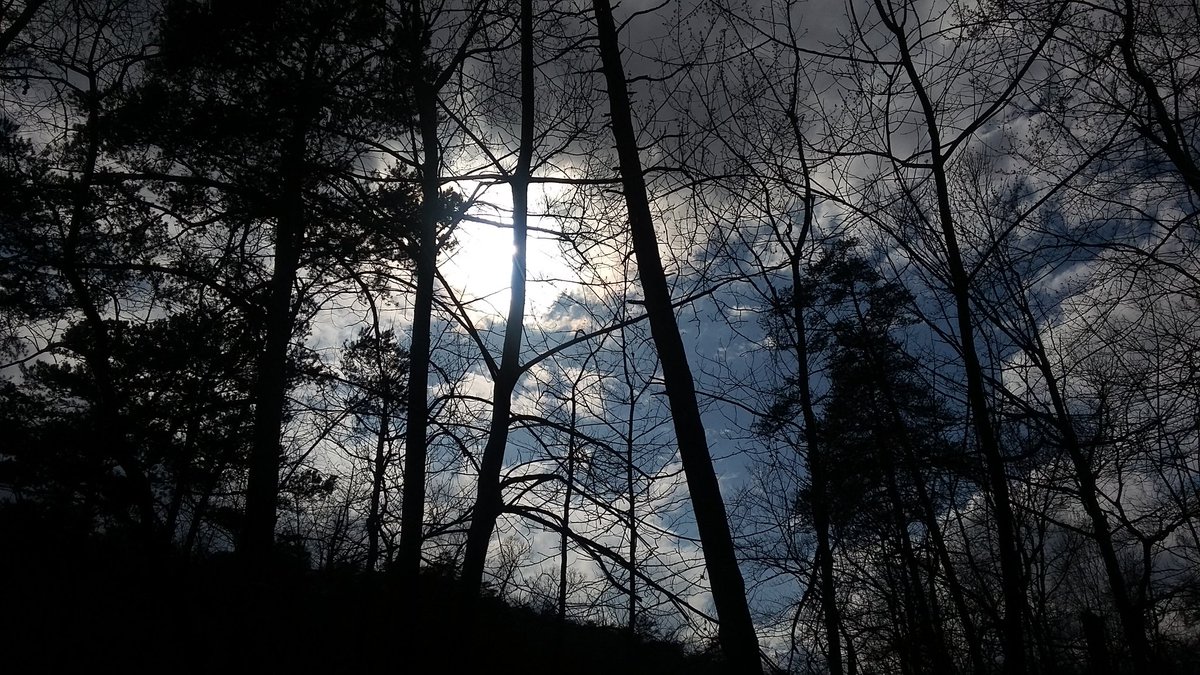 stocktonsteph's tweet photo. @SaintKateriCtr In the woods now praying for you. A hawk has been circling above #dancingWolf #nezPerce #10dec1966 https://t.co/yrxSDdPBxg