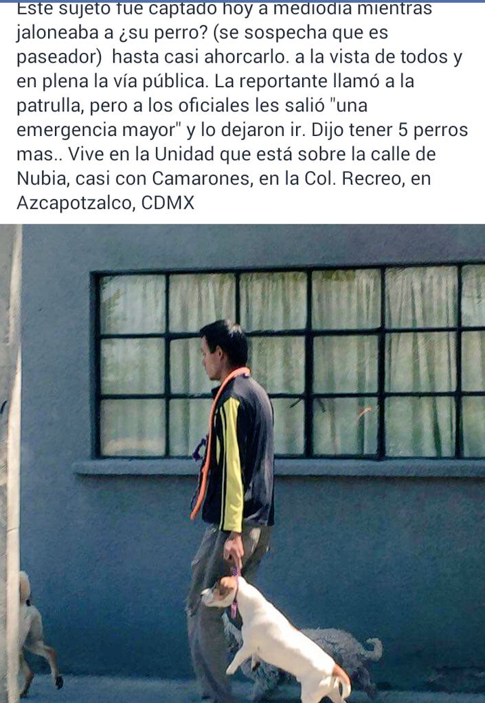 Saisha_Saloni's tweet photo. En @AzcapotzalcoDF tipo maltratador de perros!! Difundelo!! @fellpudito @UribeMerle @DogsosApp @Azcapotzalco_ https://t.co/seq75jgNRf