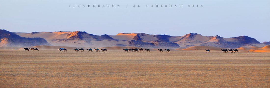 راحلون
.
.
.
#هادي_قريشة 
#نجران_الان #نجران 
#السعودية #السعودية_الكويت 
#إبل #جمال #قافله #صحراء #الربع_الخالي