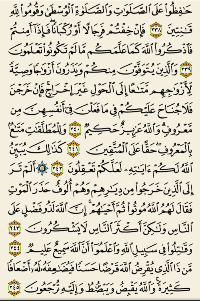 wardk_ tweet picture