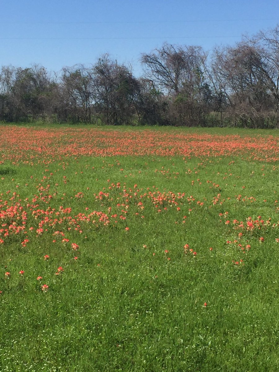 gigibigthought's tweet photo. Right outside of Luling, Gigi and Analise on #texasspringbreak https://t.co/eZXT8Mbb0E