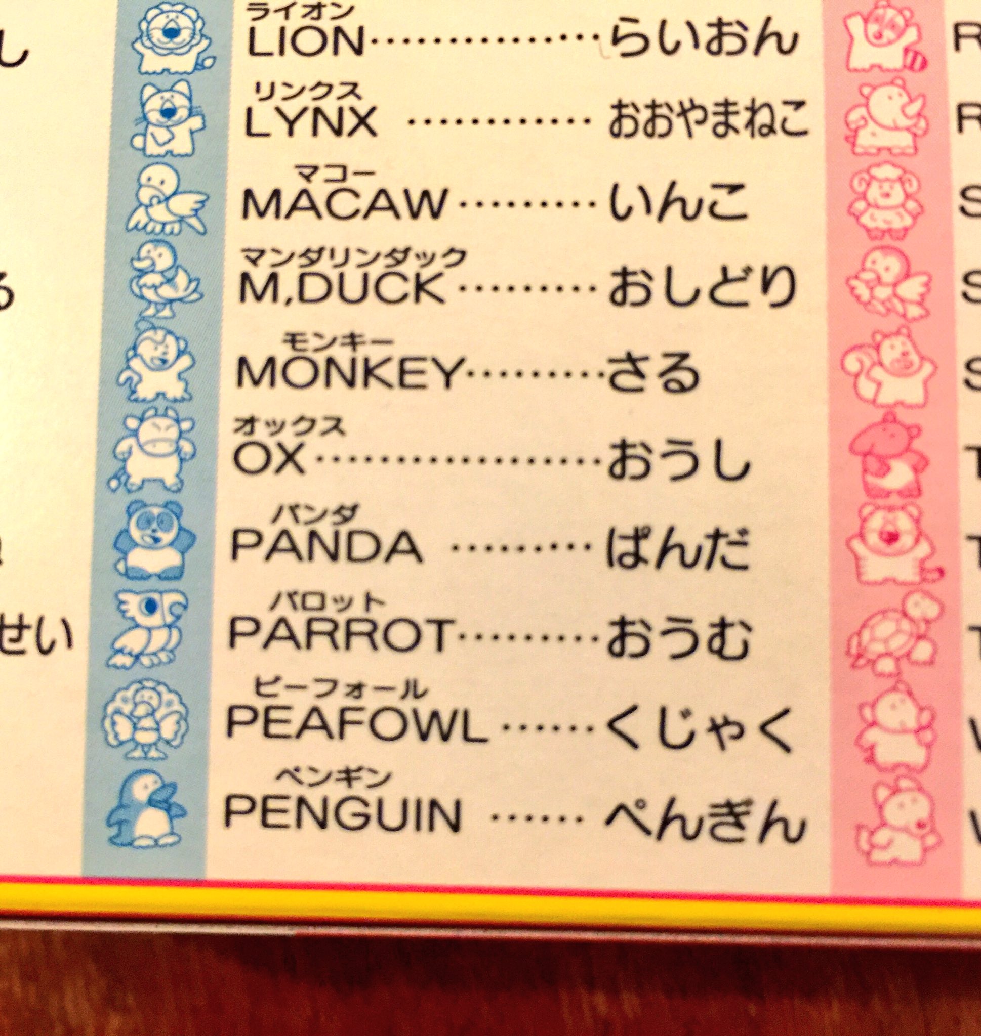 𝖸𝗈 𝖮𝗄𝖺𝖽𝖺 在英13年なのに ギンビスたべっ子どうぶつ 見て 孔雀がpeafowlだと初めて知った 今までpeacockだと思っていた T Co 0b2tdxezsz