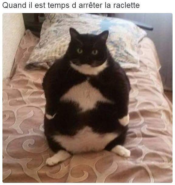 Bodypurpose's tweet image. Bientôt 200 followers, on continue de s'abonner! 😍 
Fini les raclettes, bjr les salades! 😘