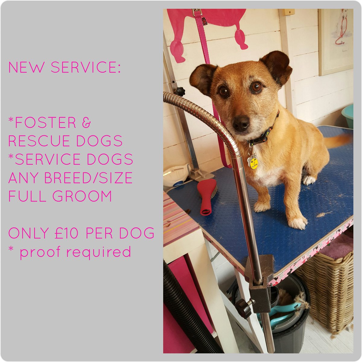 prettycoats16's tweet photo. #newservices #servicedogs #servicedog #fosterdog #dogrescuers #dogrescue  #dogfriendly @prettycoats16   #Dogsmatter https://t.co/b4XTzLXCEF