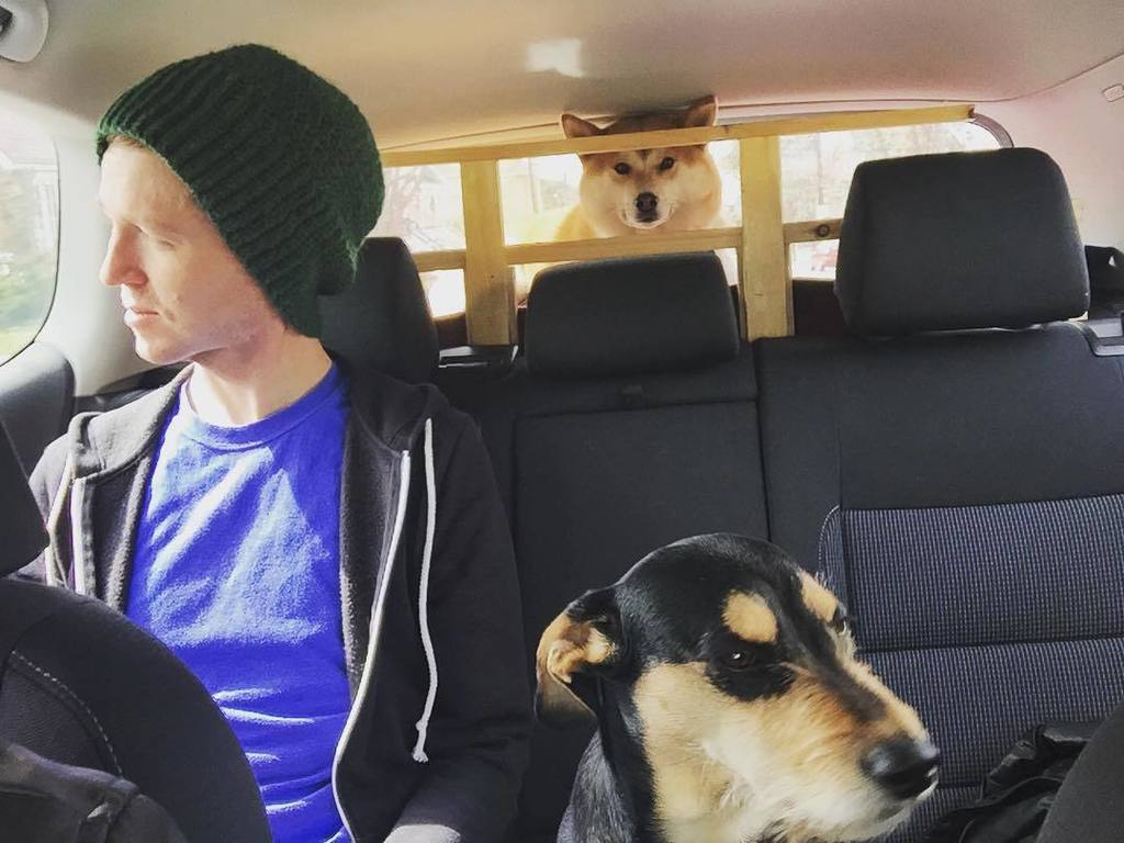 ianrgreaves's tweet image. Band photo. Jesse and the Pets. #walteristhebest #busbus #walterandbusyforever ift.tt/1XocsoV