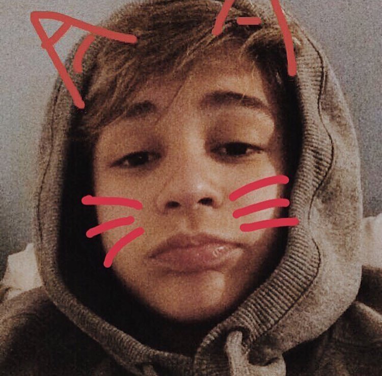 DevriesLeondre_'s tweet photo. i wanna be a cat more often https://t.co/4y25BgNSxt
