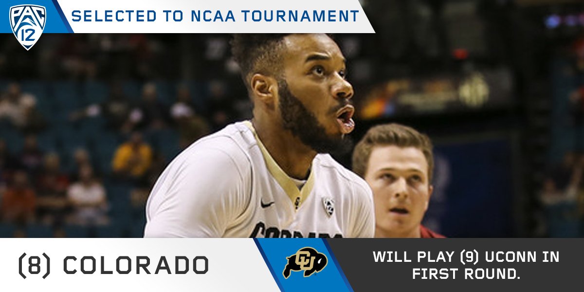 Pac12Network's tweet photo. Have you ever seen a Buffalo dance?! @CUBuffsMBB faces UCONN in the first round! #BackThePac https://t.co/V7ovRm2OBn