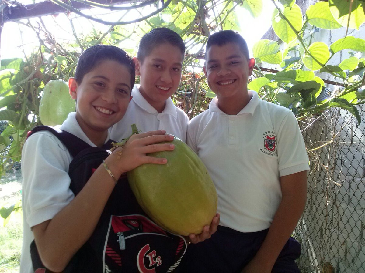 EPTMAICA's tweet photo. DE LA MANO DOCENTES Y ESTUDIANTES @NicolasMaduro @VielmaEsTachira https://t.co/xPLK2oobOs