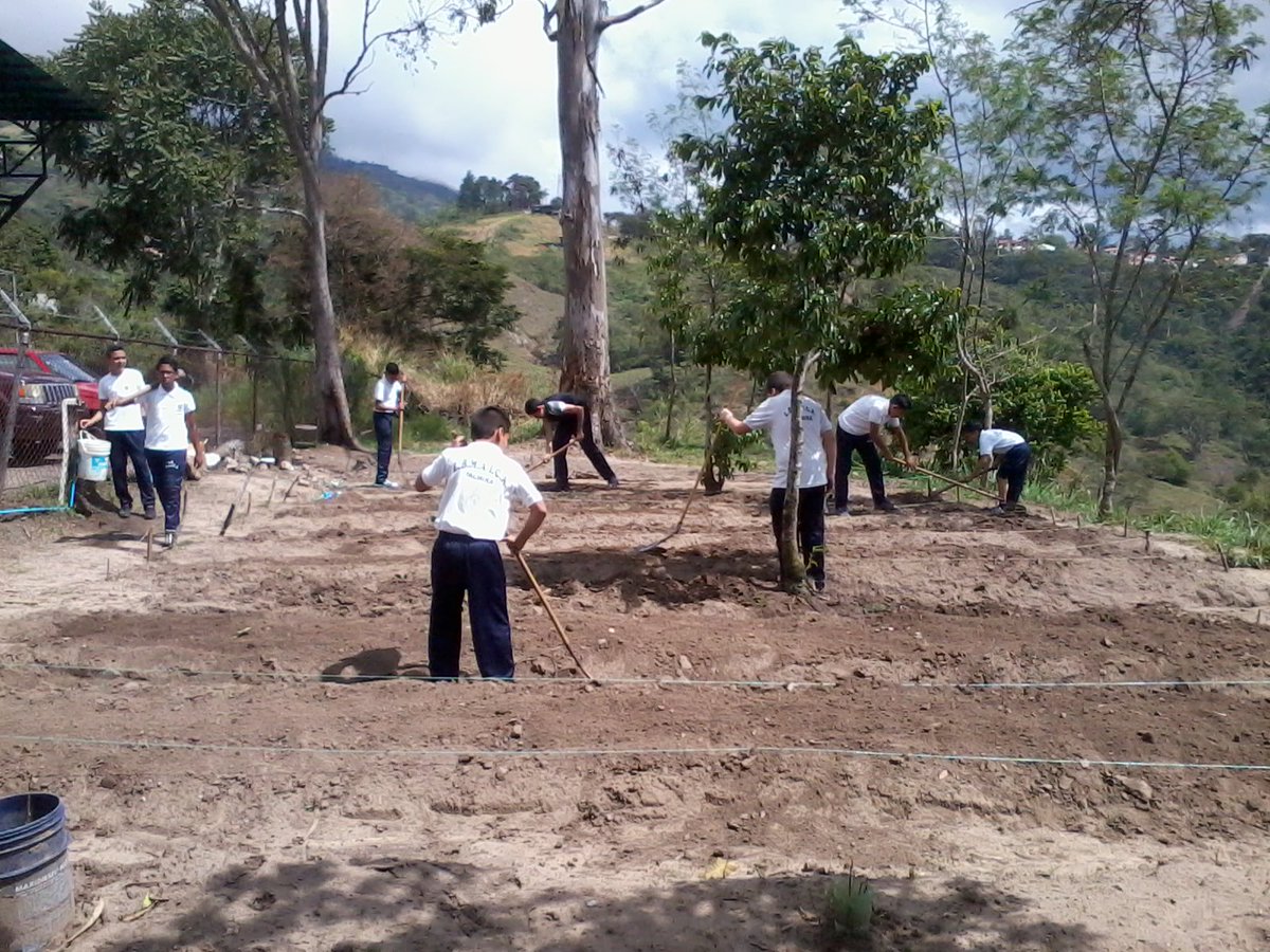 EPTMAICA's tweet photo. DE LA MANO DOCENTES Y ESTUDIANTES @NicolasMaduro @VielmaEsTachira https://t.co/xPLK2oobOs