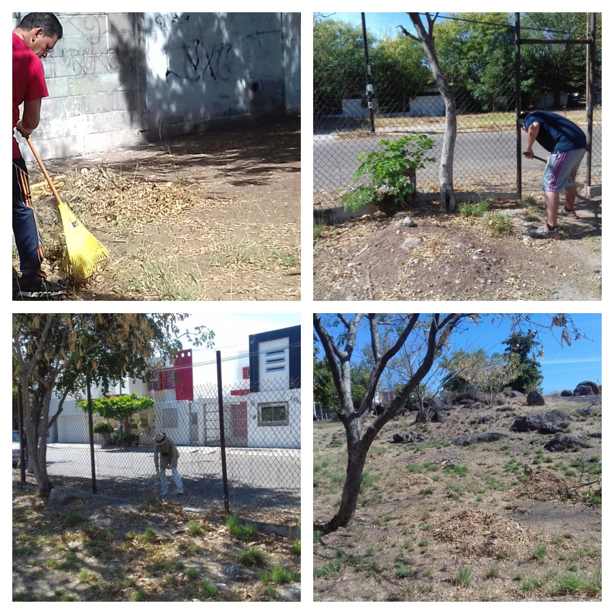 RevistCuliacan's tweet photo. Vecinos de Nva Vizcaya, pusieron manos a la obra y se reunieron para darle una manita a ntro parque #parquesalegres https://t.co/IgCLYJKJ55