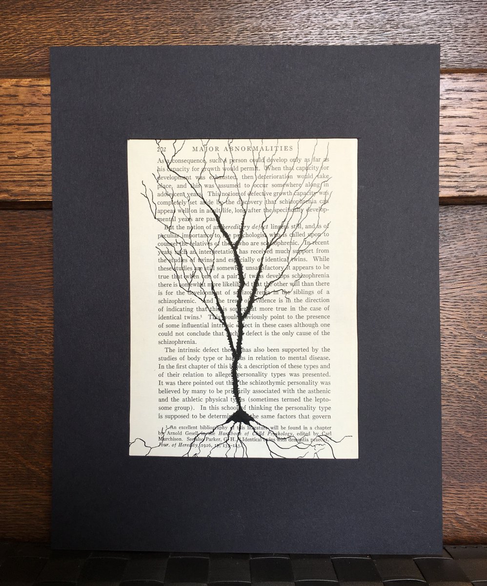 #neuroscience #psychology #Schizophrenia Affordable neuroscience/psychological art at etsy.com/shop/Psycholog…