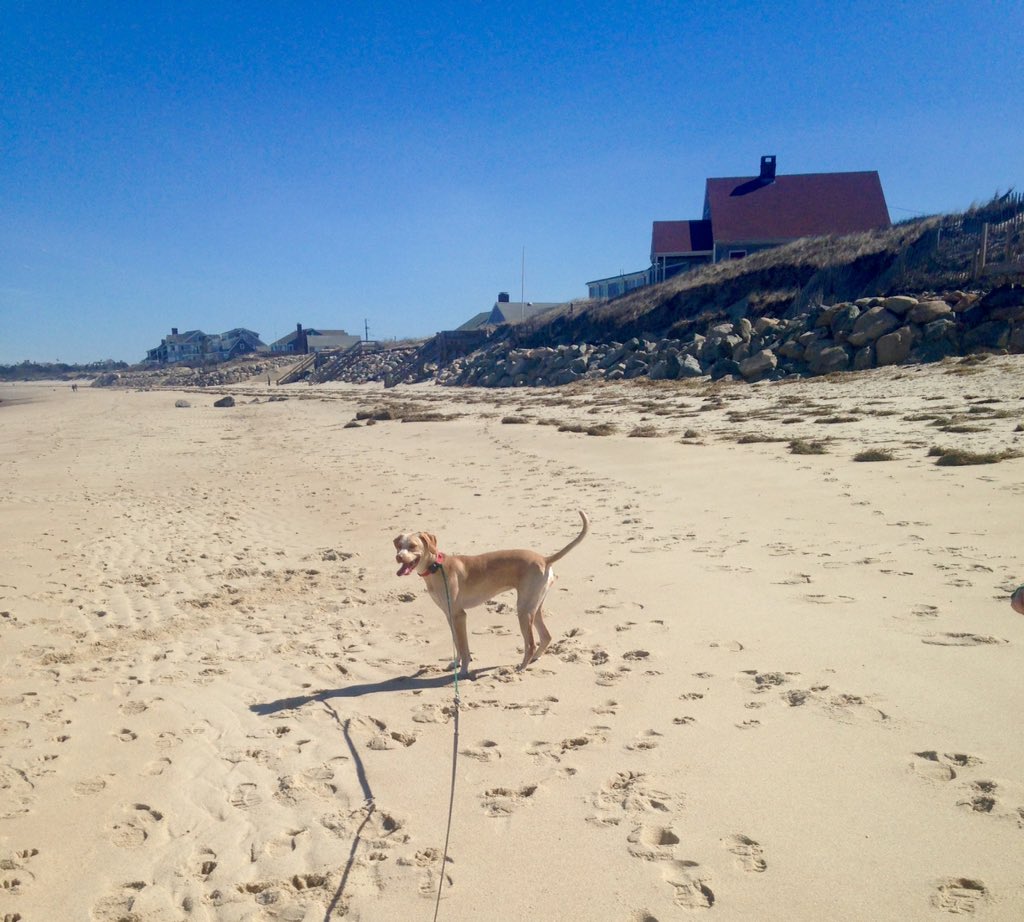 Ran on the beach today. #springforward #capecod