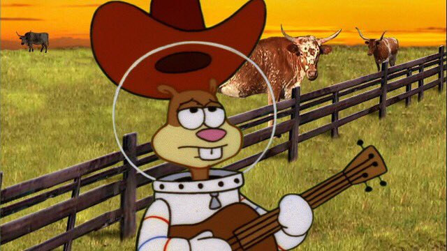 lilgreenblatt's tweet photo. What I imagine I will be like when I go to college out of state https://t.co/xn3pMxvEVP