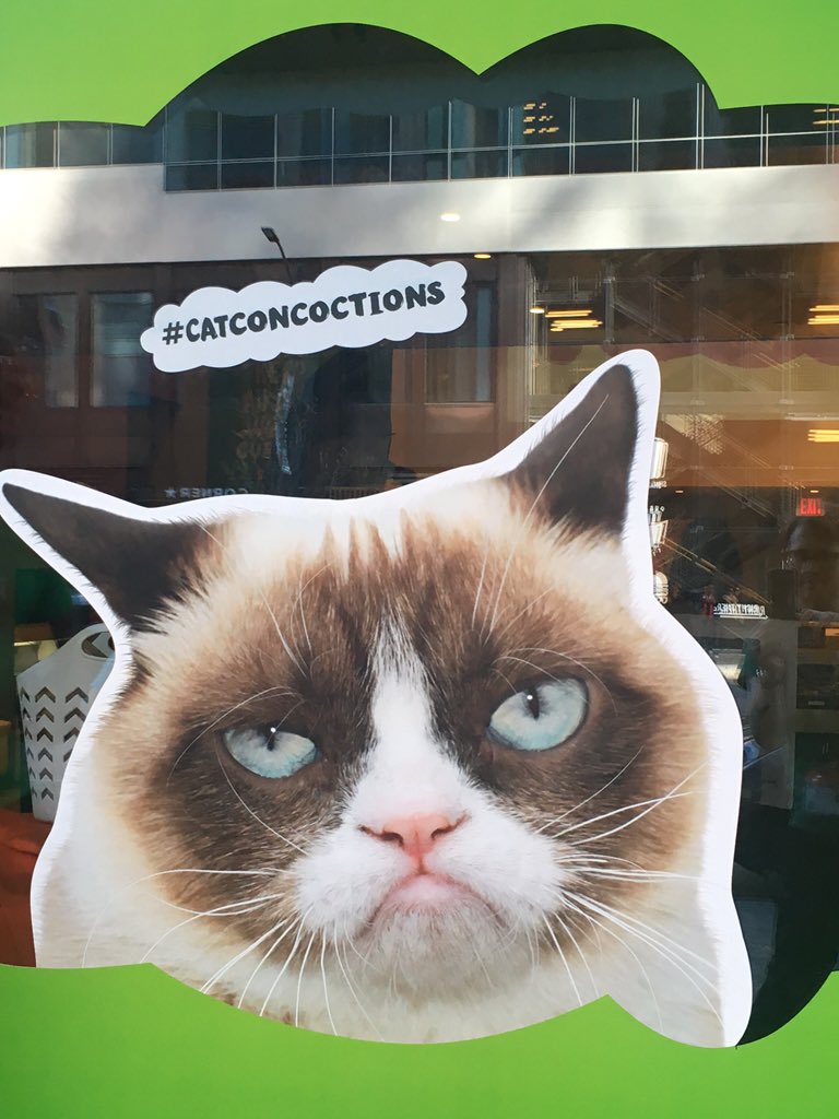 matikolb's tweet photo. Bevor #CrumpyCat im schwarzen Suburban verschwand, blieb Zeit für ein Selfie #SXSW2016 #ichehersogutgelaunt https://t.co/jRSyB0vbXj