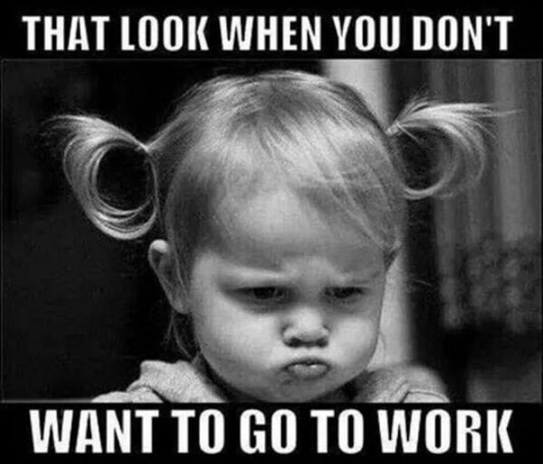 LSeuberling's tweet photo. The struggle is,real. #worklifebalance https://t.co/SUTYhFU0i4