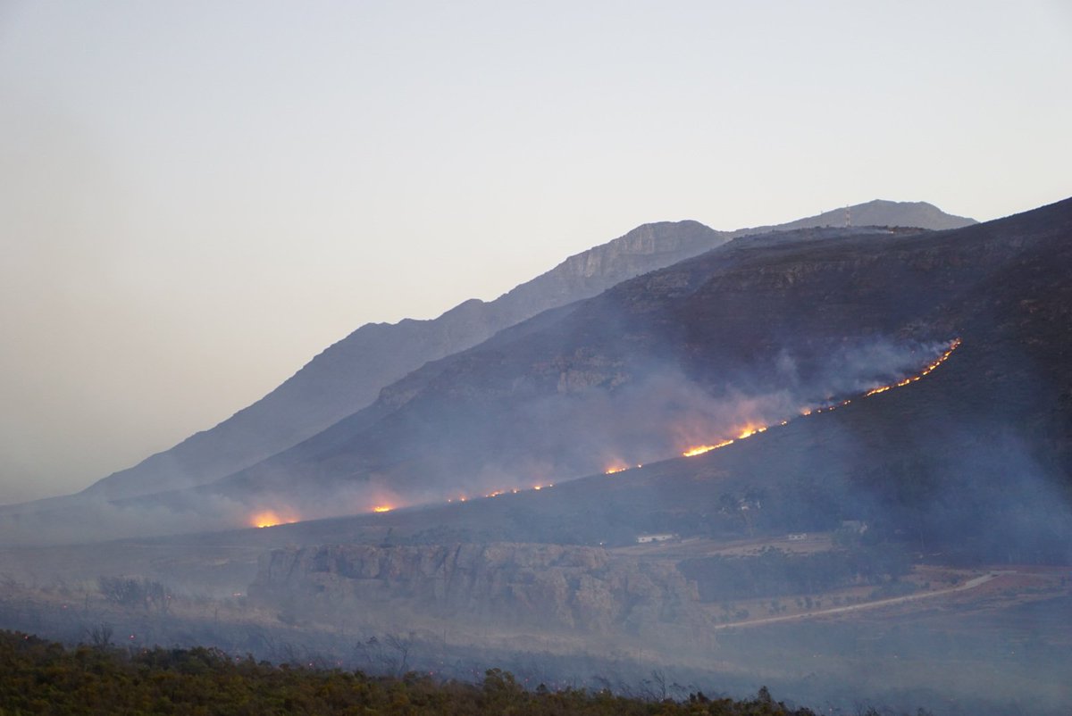 vuurtoring tweet media