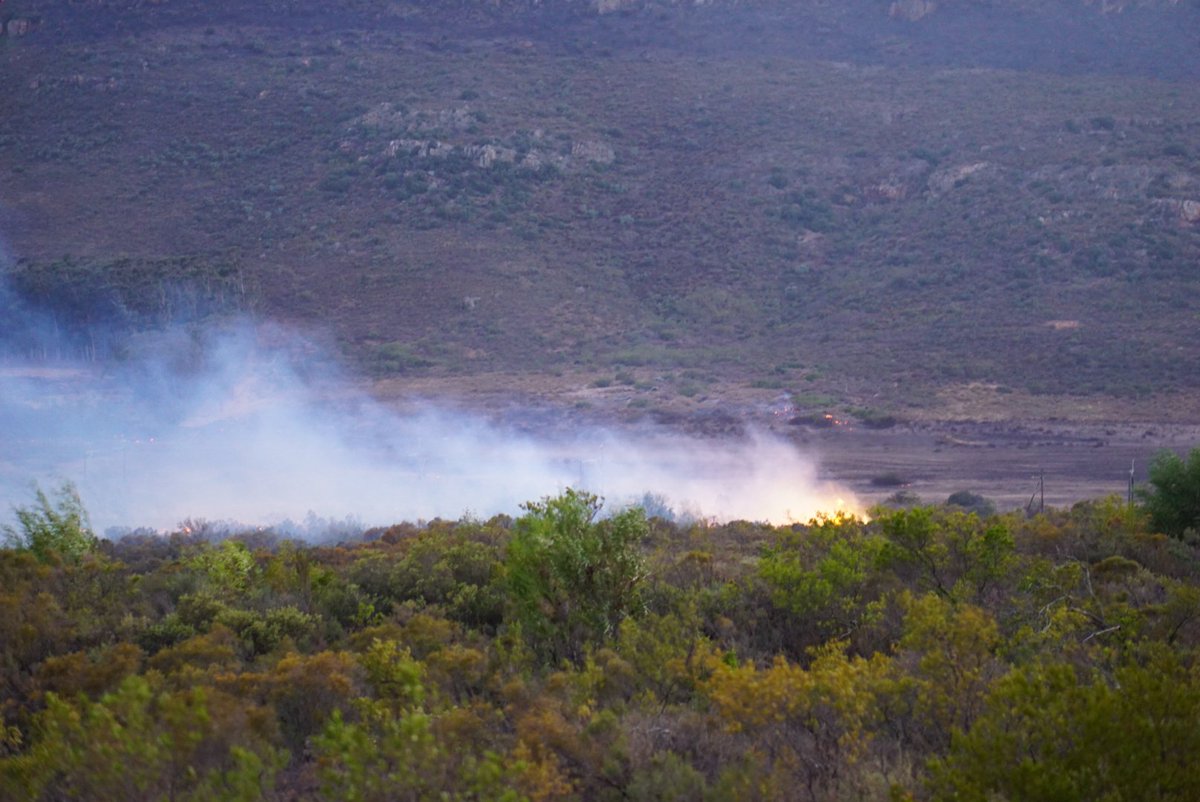 vuurtoring tweet media