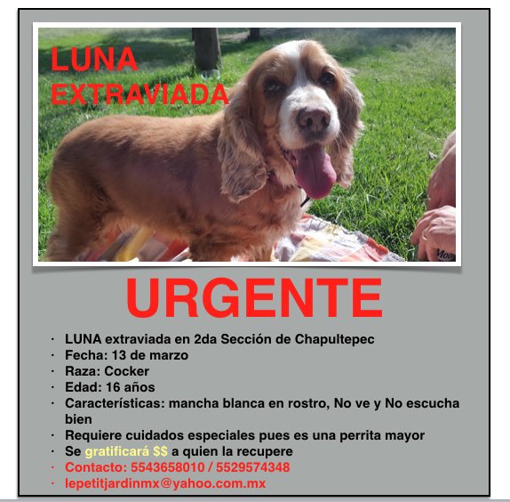 BerryBrenda tweet media